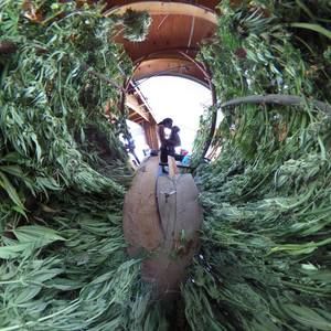 Meet your Posher, Jamber